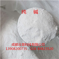 四川地區(qū)純堿廠價供應     成都地區(qū)廠價供應99%純堿